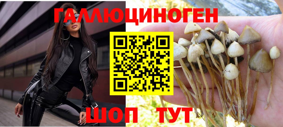 Тихорецк  Галлюциногенные грибы MAGIC MUSHROOMS  купить  цена  Вход с VPN 